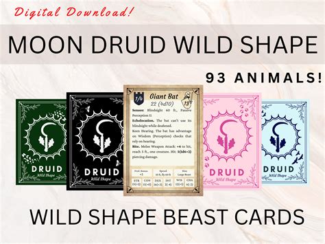 5e wild shape